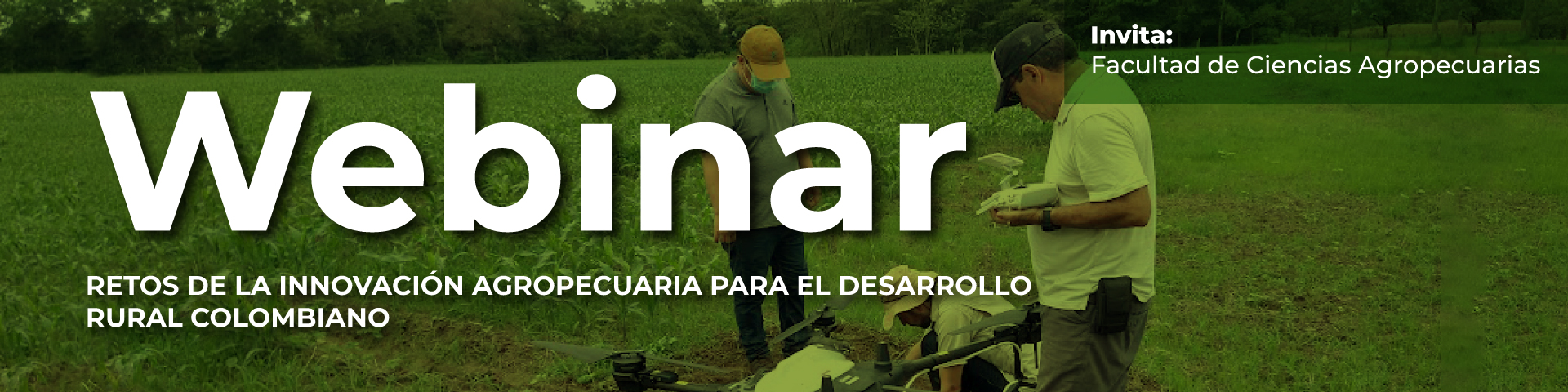 Retos de la innovación agropecuaria para el desarrollo rural colombiano