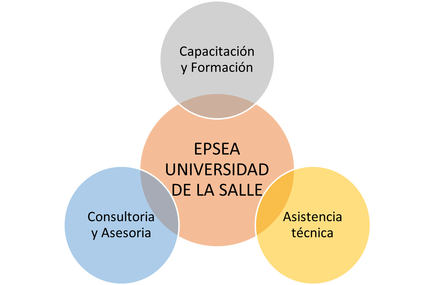 grafico de servicios de la epsea