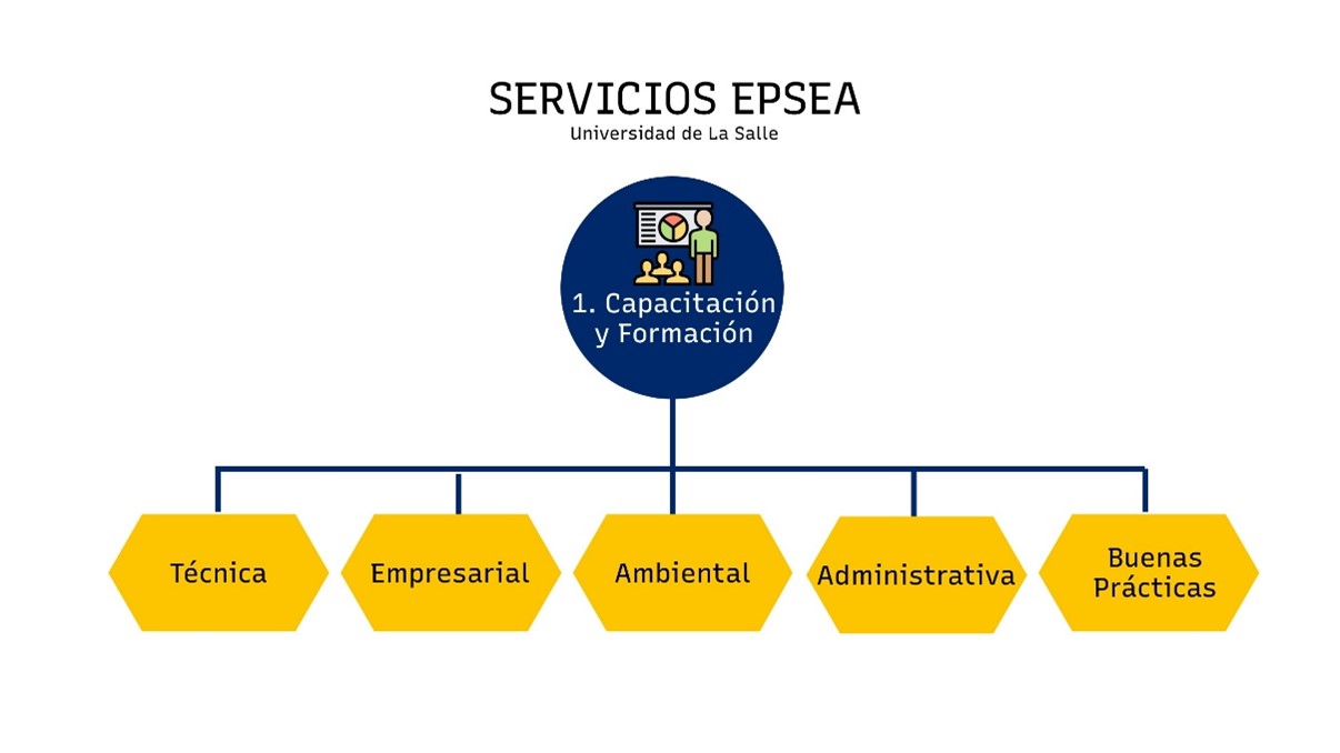 grafico de capacitación y formacion